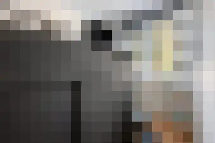 Saltshof 3316 Wijchen thumbnail 20