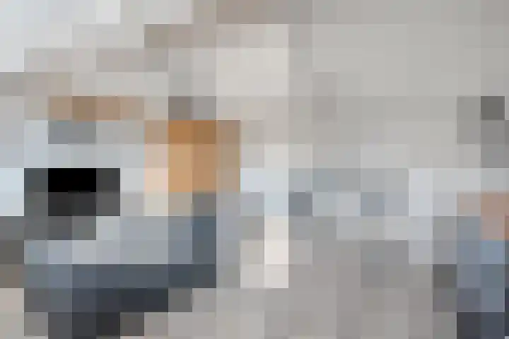 Saltshof 3316 Wijchen thumbnail 22