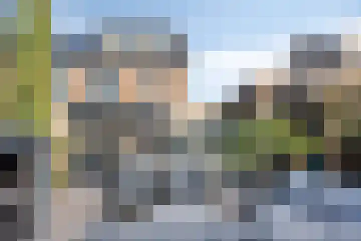 Saltshof 3316 Wijchen thumbnail 24