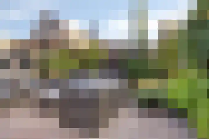 Saltshof 3316 Wijchen thumbnail 25