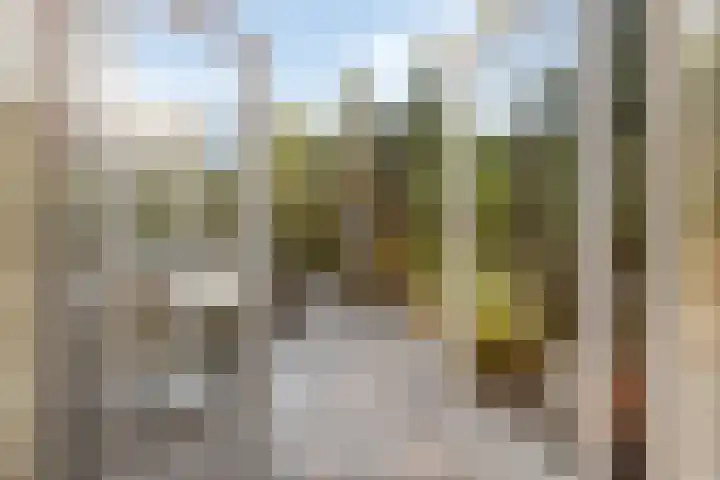 Saltshof 3316 Wijchen thumbnail 26