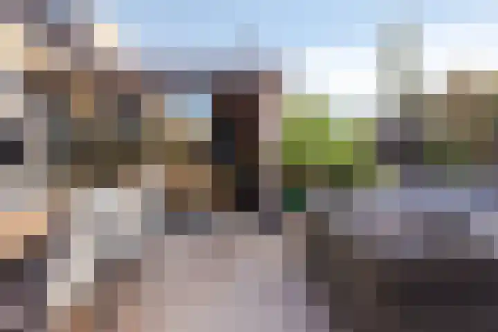 Saltshof 3316 Wijchen thumbnail 27