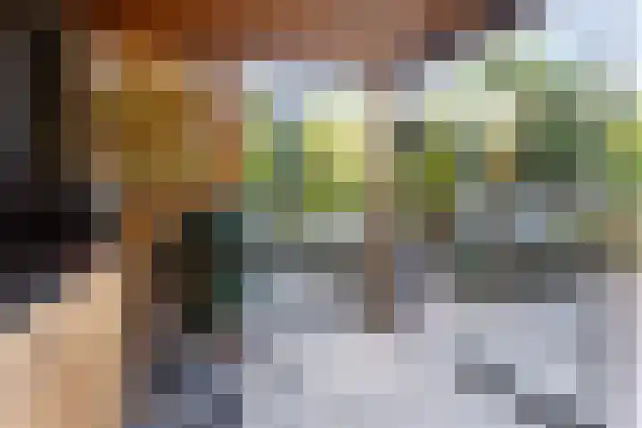 Saltshof 3316 Wijchen thumbnail 29