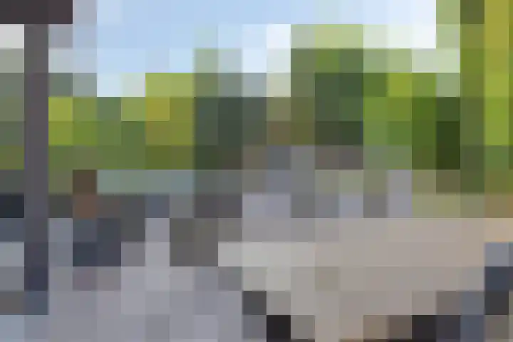 Saltshof 3316 Wijchen thumbnail 30