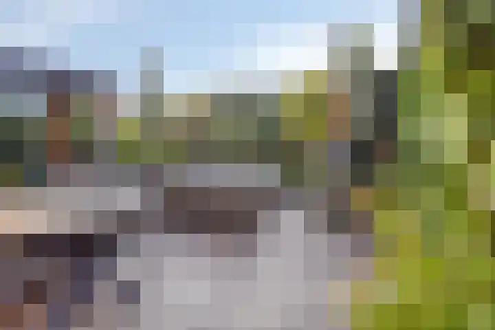 Saltshof 3316 Wijchen thumbnail 31