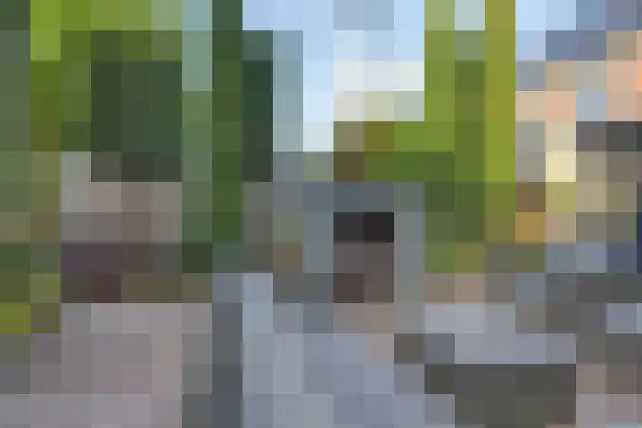 Saltshof 3316 Wijchen thumbnail 32