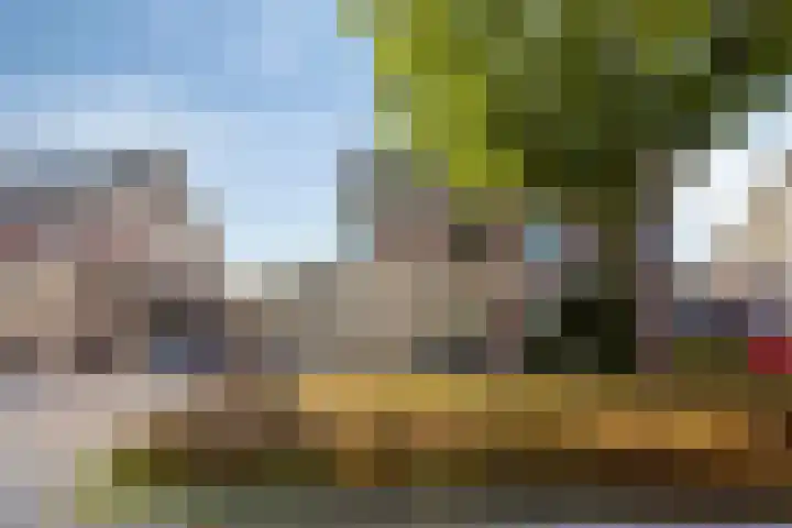 Saltshof 3316 Wijchen thumbnail 33