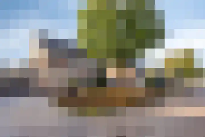 Saltshof 3316 Wijchen thumbnail 34