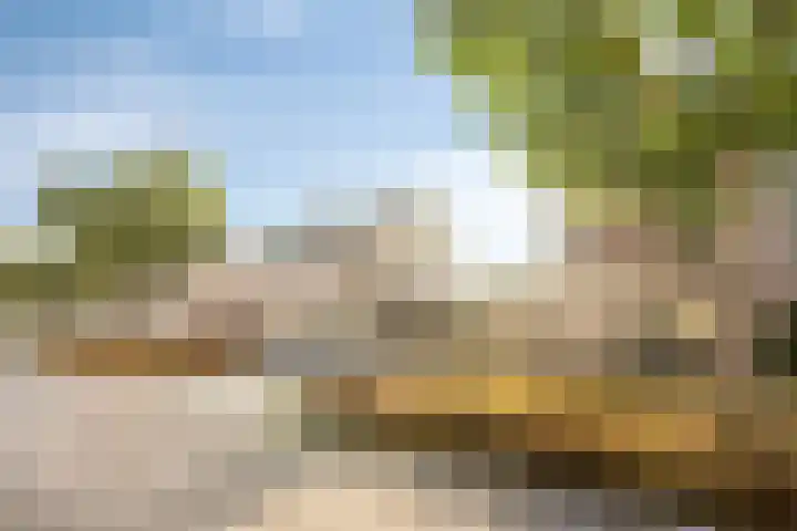 Saltshof 3316 Wijchen thumbnail 35