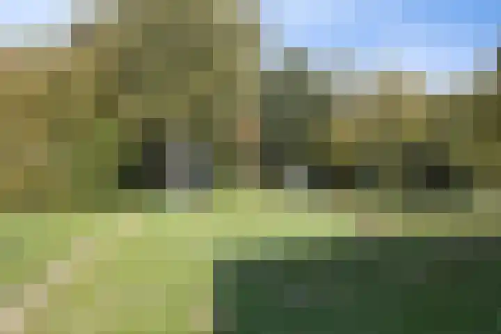 Saltshof 3316 Wijchen thumbnail 36