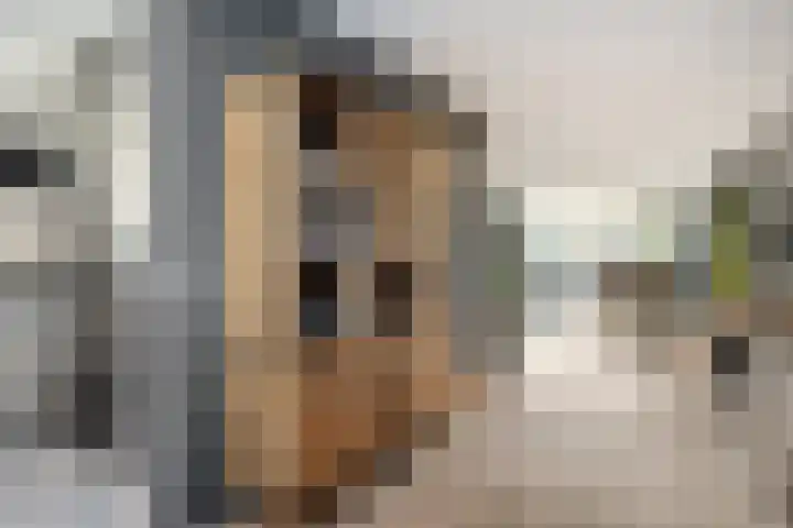 Saltshof 3316 Wijchen thumbnail 4