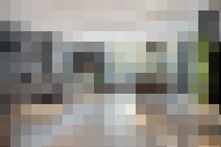 Saltshof 3316 Wijchen thumbnail 5