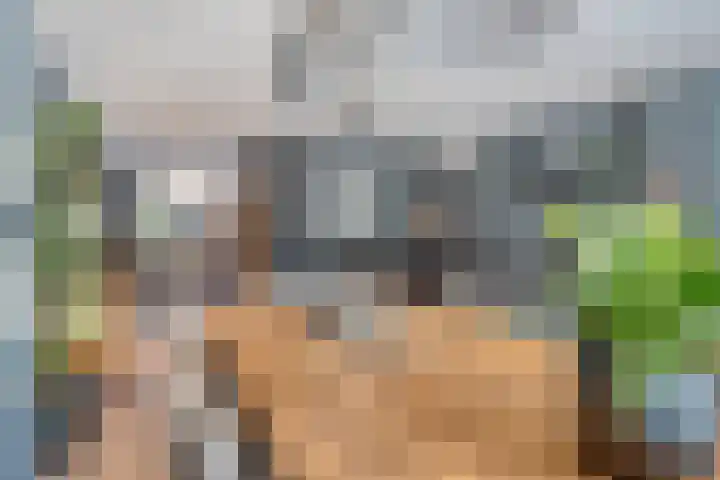 Saltshof 3316 Wijchen thumbnail 8