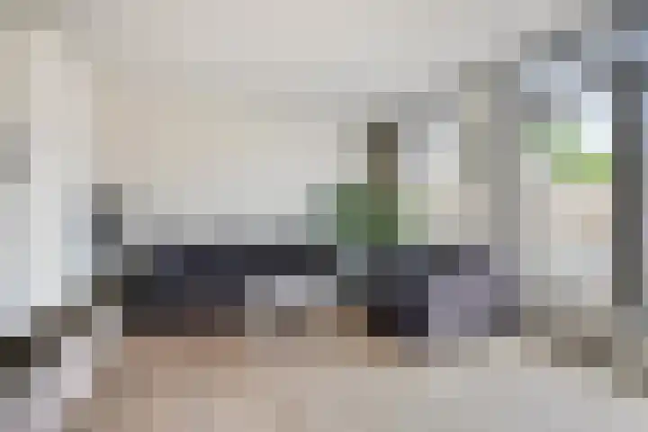 Saltshof 3347 Wijchen thumbnail 12