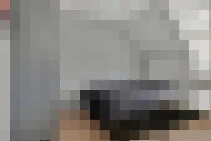 Saltshof 3347 Wijchen thumbnail 17