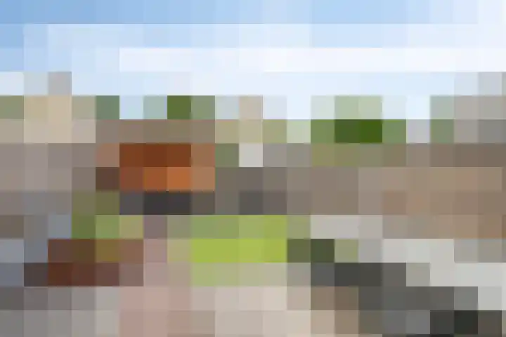 Saltshof 3347 Wijchen thumbnail 25