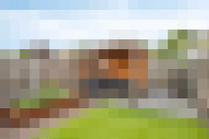 Saltshof 3347 Wijchen thumbnail 26