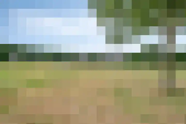 Saltshof 3347 Wijchen thumbnail 30