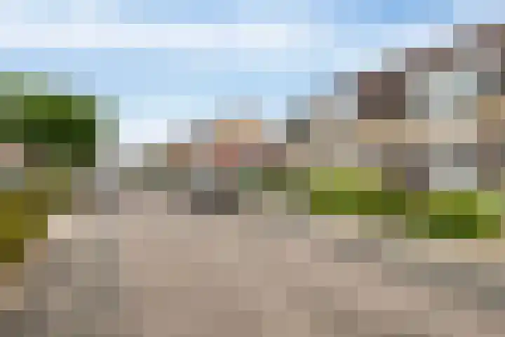 Saltshof 3347 Wijchen thumbnail 6