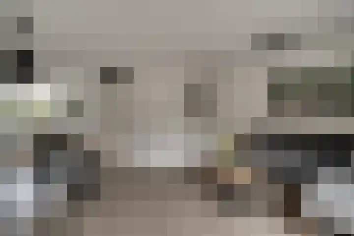 Saltshof 3373 Wijchen thumbnail 10