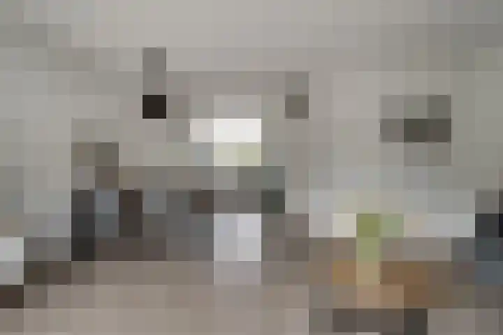 Saltshof 3373 Wijchen thumbnail 11