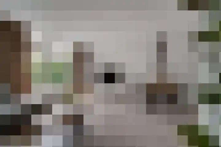 Saltshof 3373 Wijchen thumbnail 12