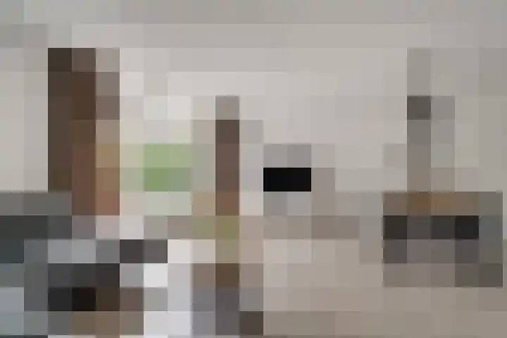 Saltshof 3373 Wijchen thumbnail 13
