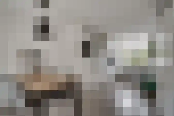 Saltshof 3373 Wijchen thumbnail 14