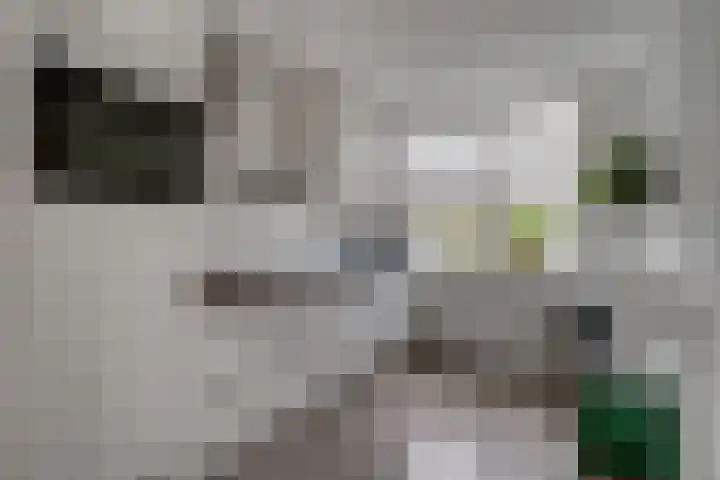 Saltshof 3373 Wijchen thumbnail 15