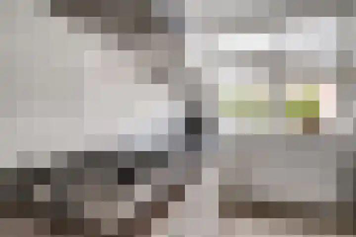 Saltshof 3373 Wijchen thumbnail 16