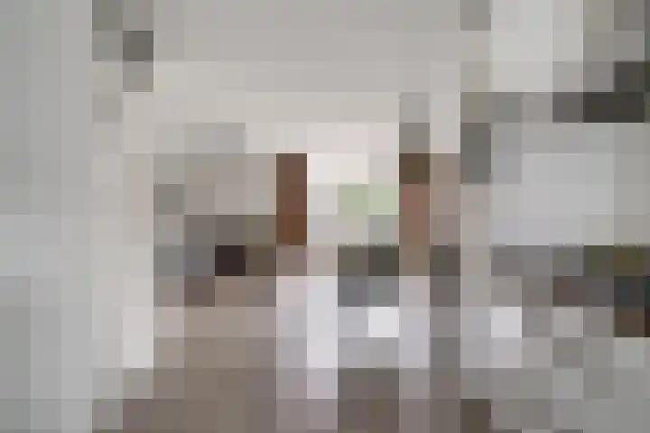Saltshof 3373 Wijchen thumbnail 17