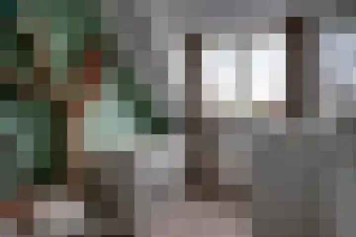 Saltshof 3373 Wijchen thumbnail 19