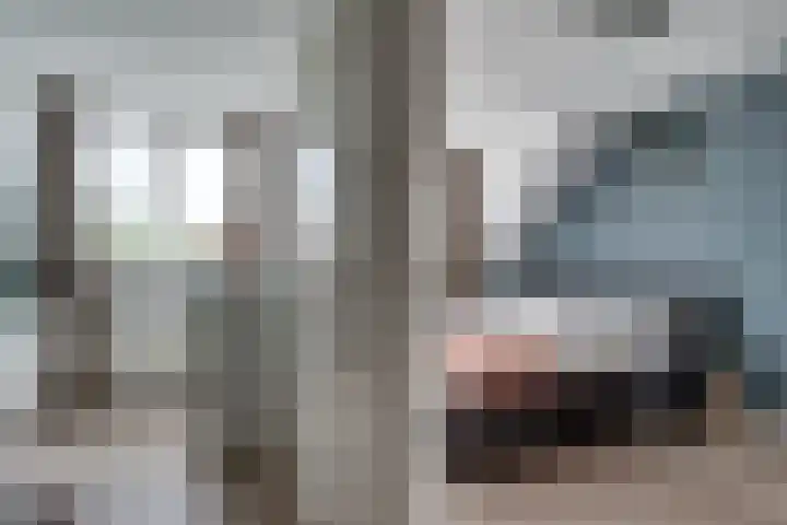Saltshof 3373 Wijchen thumbnail 22