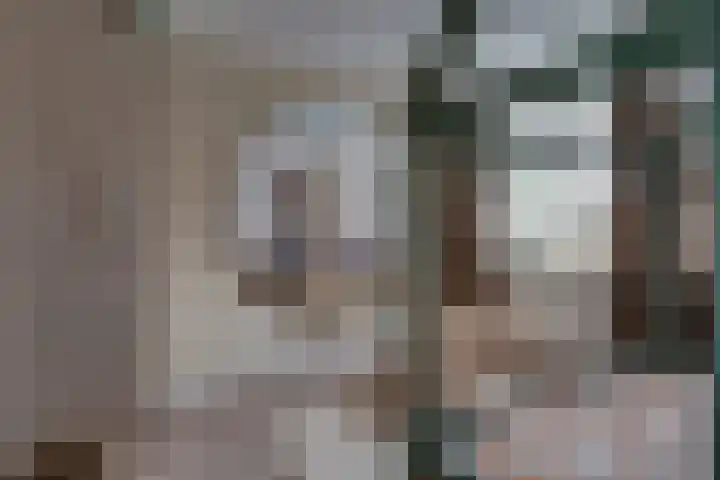 Saltshof 3373 Wijchen thumbnail 24