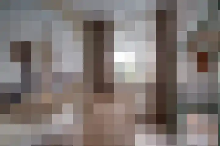 Saltshof 3373 Wijchen thumbnail 25