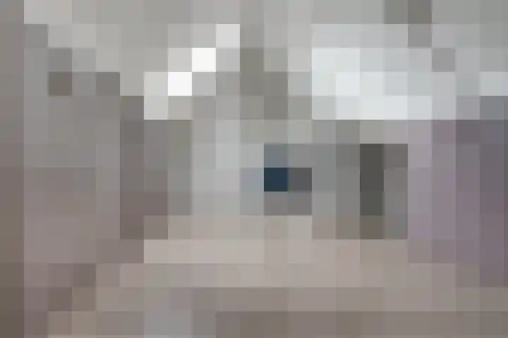 Saltshof 3373 Wijchen thumbnail 31