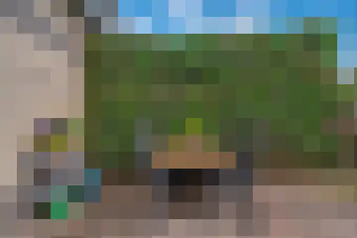 Saltshof 3373 Wijchen thumbnail 36