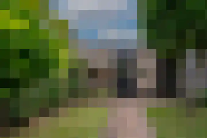 Saltshof 3373 Wijchen thumbnail 37