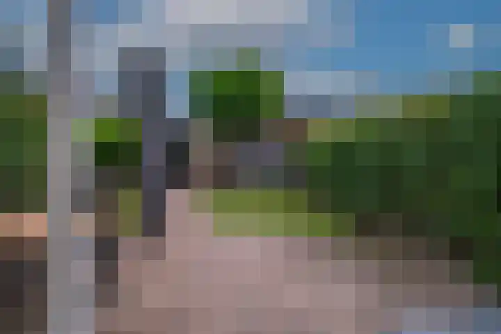 Saltshof 3373 Wijchen thumbnail 38