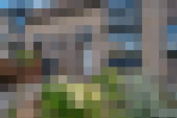 Saltshof 3373 Wijchen thumbnail 41