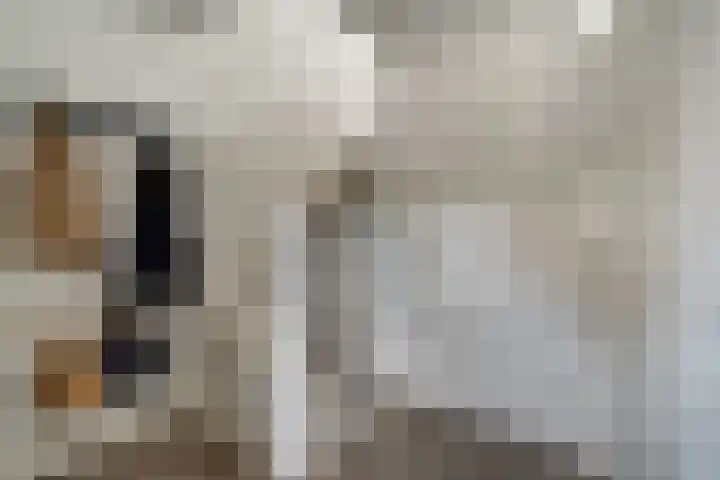 Saltshof 3373 Wijchen thumbnail 5