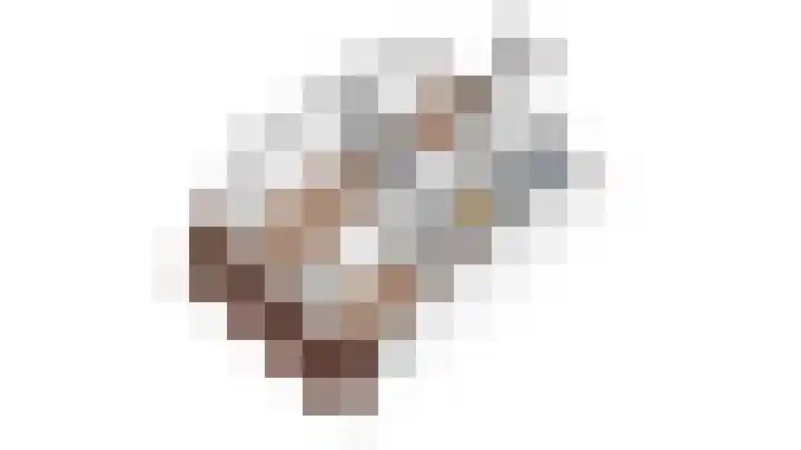 Saltshof 3373 Wijchen thumbnail 50