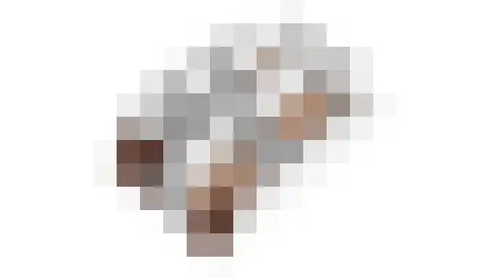 Saltshof 3373 Wijchen thumbnail 51
