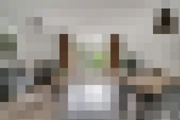 Saltshof 3373 Wijchen thumbnail 6