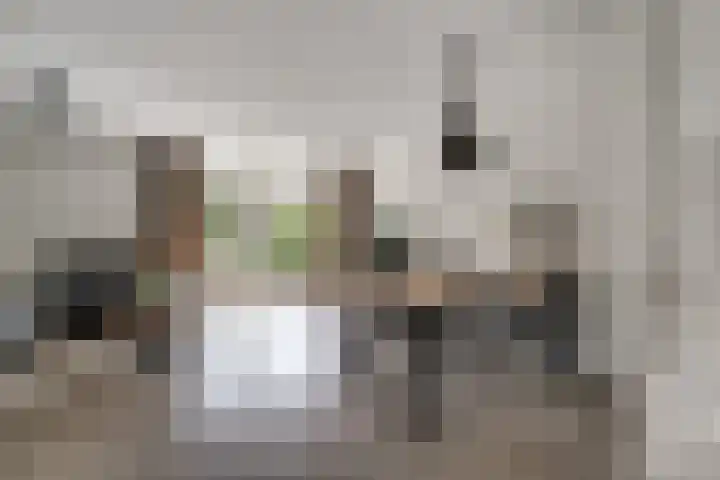 Saltshof 3373 Wijchen thumbnail 7