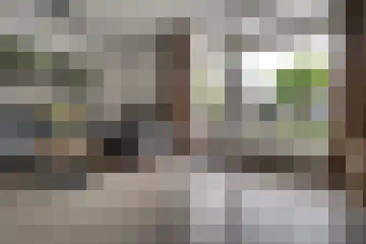 Saltshof 3373 Wijchen thumbnail 9