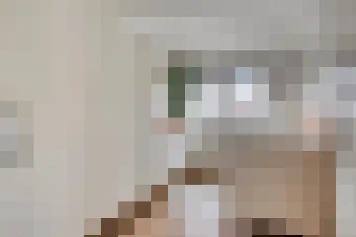 Saltshof 3478 Wijchen thumbnail 17
