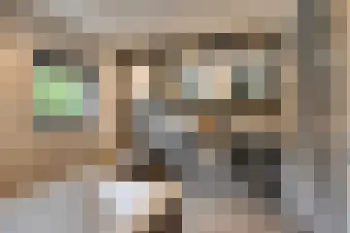 Saltshof 3478 Wijchen thumbnail 19