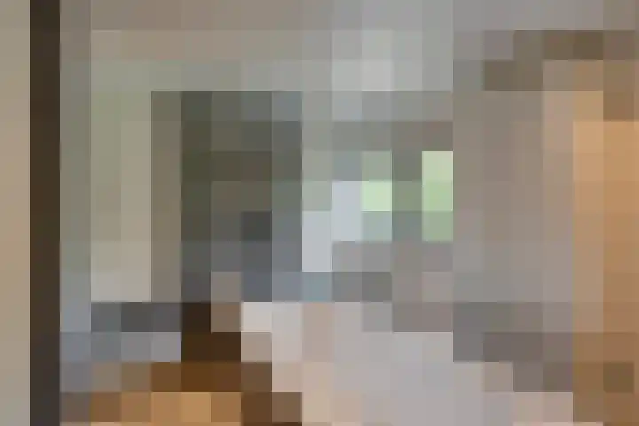 Saltshof 3478 Wijchen thumbnail 20
