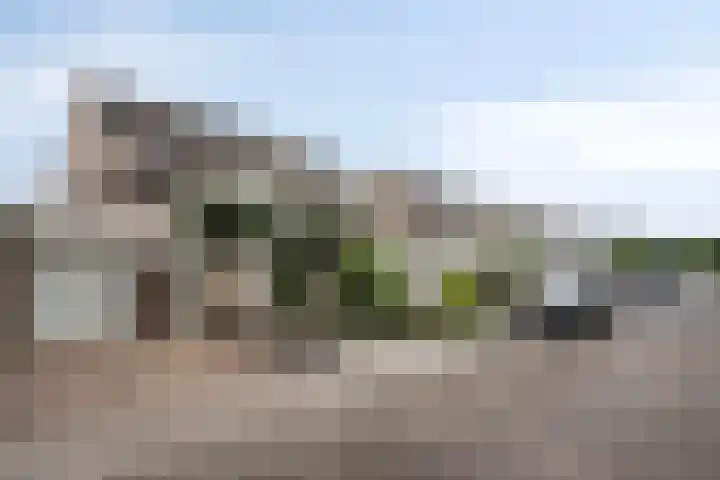Saltshof 3478 Wijchen thumbnail 32